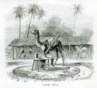 Camel Mill, from 'Travels in Africa' by J.F Elton, 1879 (engraving) (b/w photo)