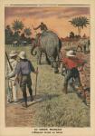 In French Congo, elephant trained to ploughing, illustration from 'Le Petit Journal', supplement illustre, 15th January 1911 (colour litho)