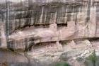 Remains of Pueblo Indian cliff dwellings, built 11th-14th century (photo) (detail of 229606)