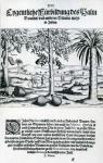 Landscape, Illustration from 'India Orientalis', 1598 (engraving)
