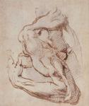 Study of an Arm (ink) Inv.1859/5/14/819 (W.49)