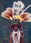 A chief of the Roro tribe from Papua New Guinea, Melanesia, decorated for a ceremonial dance. The ornament hanging over the middle of his chest is the badge of his office: its essential feature being the double row of boars' tusks ground down into thin pl