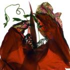 Morning Glory Canna Red (digital photogram, Digital original print)