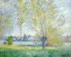 Willows at Vetheuil, 1880 (oil on canvas)