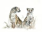 cheetah brothers, 2013, (watercolour)