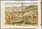 Indians Training for War, from 'Brevis Narratio...', engraved by Theodore de Bry (1528-98) 1591 (coloured engraving)