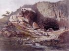 Source of the Jordan, engraved by Jean Jacottet (1806-c.1843) (colour litho)