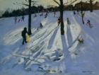 Snow, Rykneld Park, Derby, 2001 (oil on canvas)