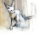 Sand Fox, 2009 (conte & charcoal on paper)