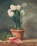 Narcissus and Radishes (oil on canvas)