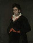 Portrait of Don Ramon Satue, 1823 (oil on canvas)