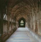 View of the Cloisters, c.1355 (photo)