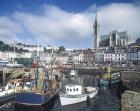 View of the harbour with St. Colemans Cathedral (photo)