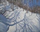 Fir Tree Shadows, Tignes, 2009 (oil on canvas)
