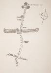 Map to King Solomon's Mines, From King Solomon's Mines by H. Rider Haggard, published London, 1886.