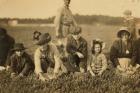 Annette Roy said to be 7 and Napoleon Ruel said to be 9 picking cranberries at Smart's Bog, South Carver, Massachusetts, 1911 (b/w photo)