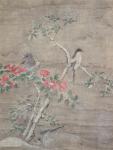 Birds and camelia in snow, c.1700 (ink and colours on paper)