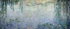 Waterlilies: Morning with Weeping Willows, detail of the central section, 1915-26 (oil on canvas) (see also 162347 & 162349)