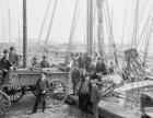 Unloading oyster luggers, Baltimore, Maryland, 1905 (b/w photo)