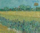 Field with Flowers near Arles, 1888 (oil on canvas)