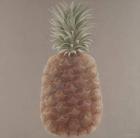 Pineapple, 2012 (acrylic on canvas)