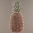 Pineapple, 2012 (acrylic on canvas)