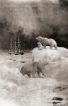 The SS Roosevelt in the Arctic Regions during the Peary Expedition to the North Pole, 1908 - 1909. Robert Edwin Peary, Sr.,1856  1920. American explorer. From The History of Our Country, published 1900
