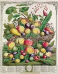 July, from 'Twelve Months of Fruits', by Robert Furber (c.1674-1756) engraved by Henry Fletcher, 1732 (colour engraving)