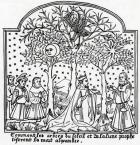 Copy of illustration of the Oracular trees of the Sun and the Moon from 'Livre de Merveilles du Monde' by Rustichello da Pisa and Marco Polo (woodcut)