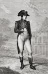 Portrait of Napoleon Bonaparte (1769-1821) (engraving)