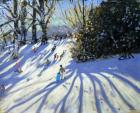 Early snow, Darley Park (oil on canvas)