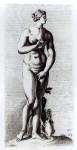 Venus Aphrodite, c.1653 (etching) (b/w photo)