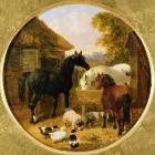 Farmyard Scene