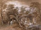 A Woodland Pool with Rocks and Plants, c.1765-70 (w/c and black chalk over graphite with oil paint on paper)