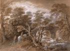 A Woodland Pool with Rocks and Plants, c.1765-70 (w/c and black chalk over graphite with oil paint on paper)