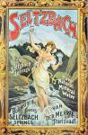 Poster advertising 'Seltzbach' pure natural mineral water from the Seltzbach Springs, Van der Merwe, Transvaal, 1890s (colour litho)