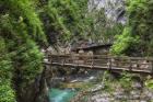 Visitors walking on wooden walkways which run the length of the Vintgar Gorge near Bled, Triglav, National Park, Upper Carniola, Slovenia (photo)