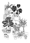 House Plants Black & White