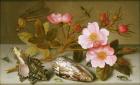 Still life depicting flowers, shells and a dragonfly (oil on copper) (for pair see 251377)