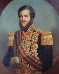 Pedro II (1825-91) Emperor of Brazil (oil on canvas)