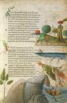 Fol. 62r, 'Almo Sol, quella fronde ch'io sol amo', from 'Canzoniere e Trionfi' by Petrarch, c.1470