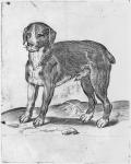 Dog (engraving) (b/w photo)