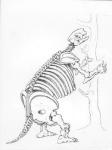 Skeleton of a Mylodon (engraving) (b/w photo)