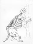 Skeleton of a Mylodon (engraving) (b/w photo)