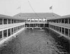 Bathing pool in the casino, Palm Beach, Florida, c.1905 (b/w photo)