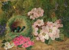 Primroses by a Bird's Nest (oil on canvas)