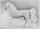 Moving Image, Series 2, 2013 (graphite on paper)