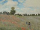 Wild Poppies, near Argenteuil (Les Coquelicots: environs d'Argenteuil), 1873 (oil on canvas)