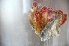 Water Tulip 1, 2013, photograph