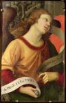 Angel, from the polyptych of St. Nicolas of Tolentino, 1501 (oil on panel)